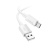 DTC-TPC-HCO-X107-W